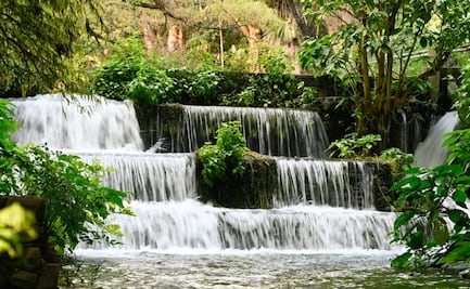 Presentan programa para la conservación de 6 zonas de reserva natural en Morelos