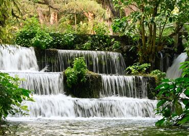 Presentan programa para la conservación de 6 zonas de reserva natural en Morelos