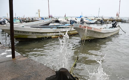 Daña a la pesca eliminación de estímulo fiscal a diésel marino, advierte la IP