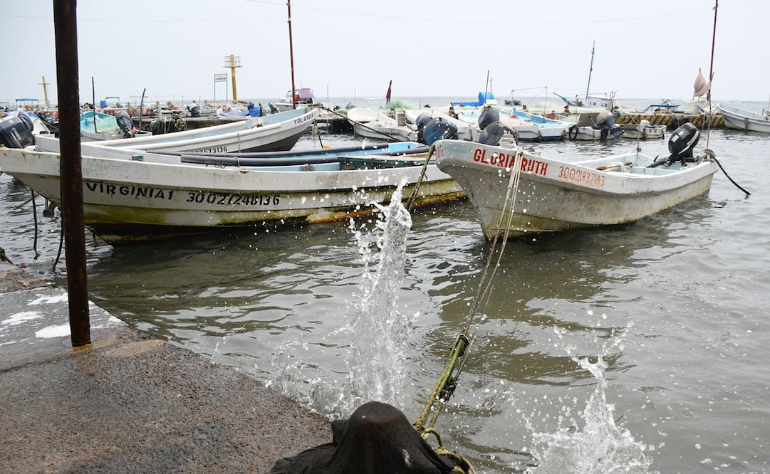Foto: Archivo / EL UNIVERSAL