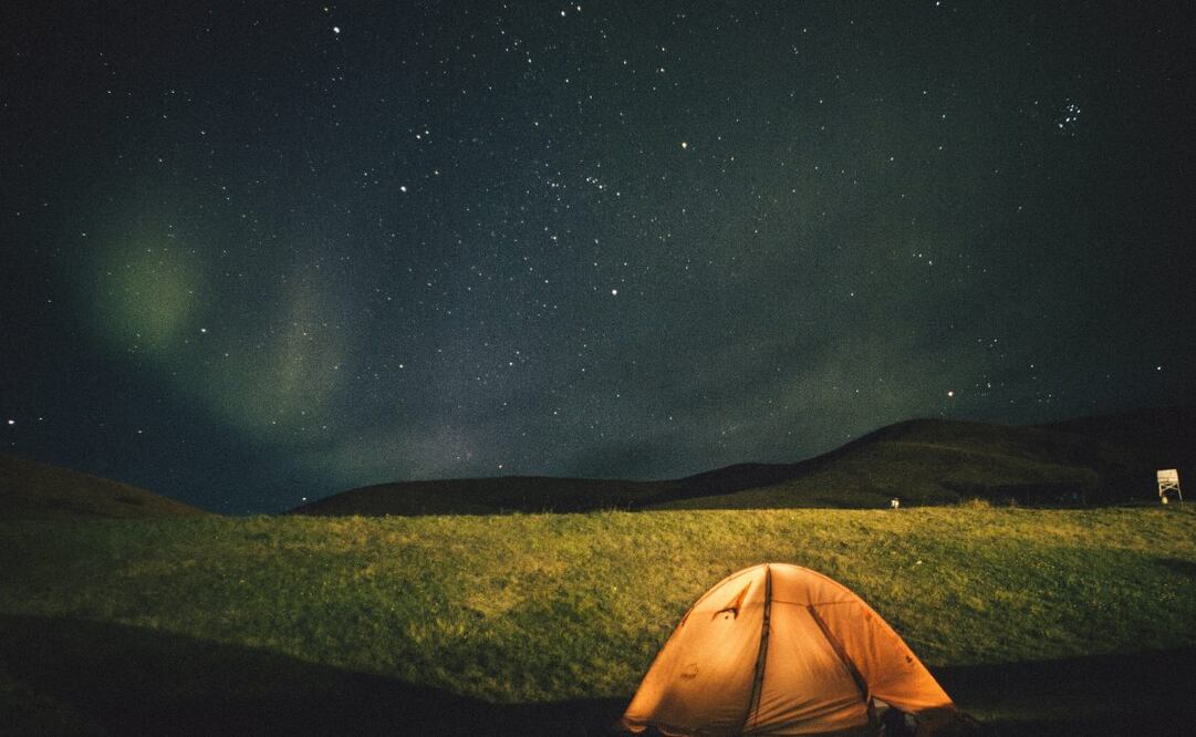 Pasa una velada al aire libre al sur de la ciudad. Cuidado, pueden perseguirte zombies. Foto: Unsplash 