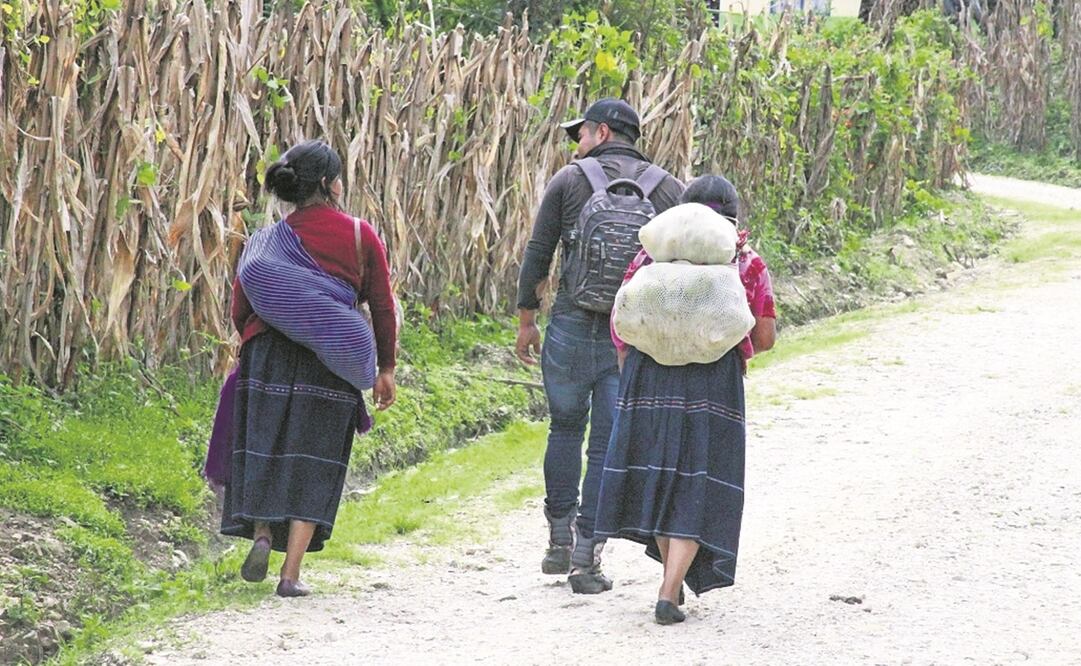 Hay mujeres y hombres que se han visto obligados a irse por un tiempo de Aldama; otros aseguran que no salen a cuidar sus parcelas por temor a que les impacte una bala. Foto: María de Jesús Peters/ EL UNIVERSAL.
