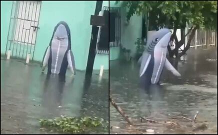 ¡Qué miedo! Captan un "tiburón" nadando en calles inundadas de Veracruz