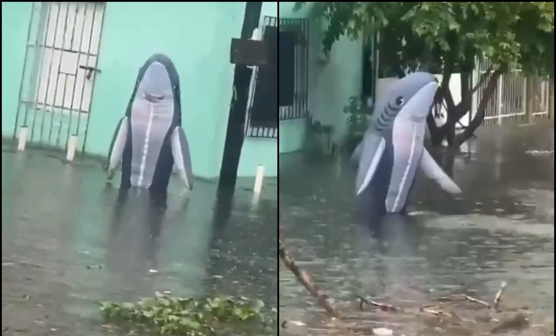 Foto: captura de pantalla