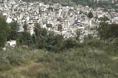 "Protegeremos bosque de Tarango": vecinos de AO