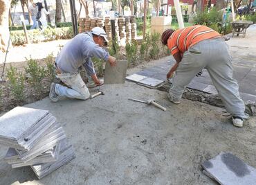 Ve Auditoría anomalías de gasto en Xochimilco