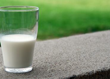 El alimento que es similar a la leche materna y ayuda a la nutrición infantil