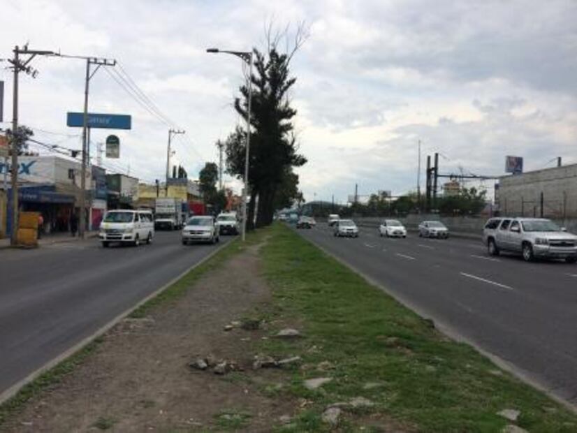 Los peluqueros “de paisaje” de avenida Zaragoza 