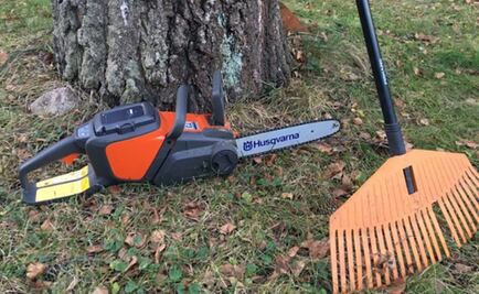 Finlandeses rastrillan sus bosques en respuesta a comentarios de Trump