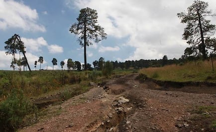 Deforestación en Colombia aumentó un 16% en 2014