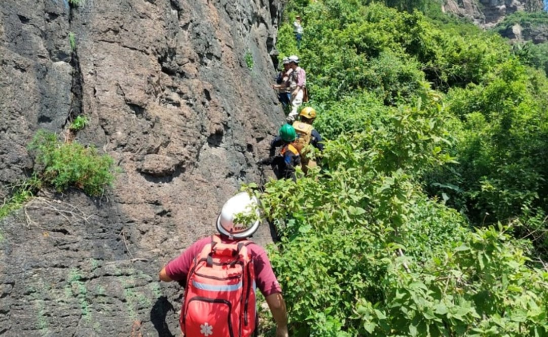 Prevención de deslave en el cerro del Chiquihuite. Foto: especial