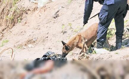 Perro encuentra pierna en canal de Ecatepec 