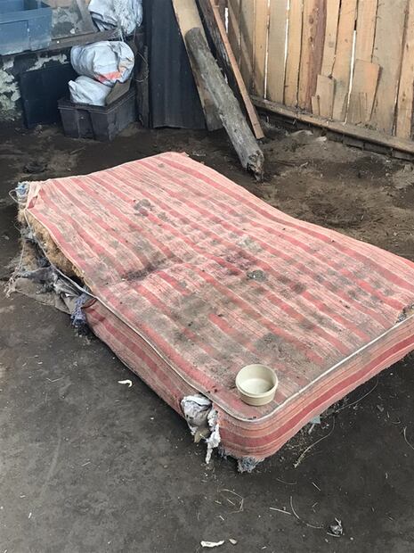 Encadenan a señor de 83 años "por alcohólico y violento" en Michoacán