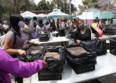 Apoya organización sionista de judeo-mexicanas a 80 mujeres en Iztapalapa