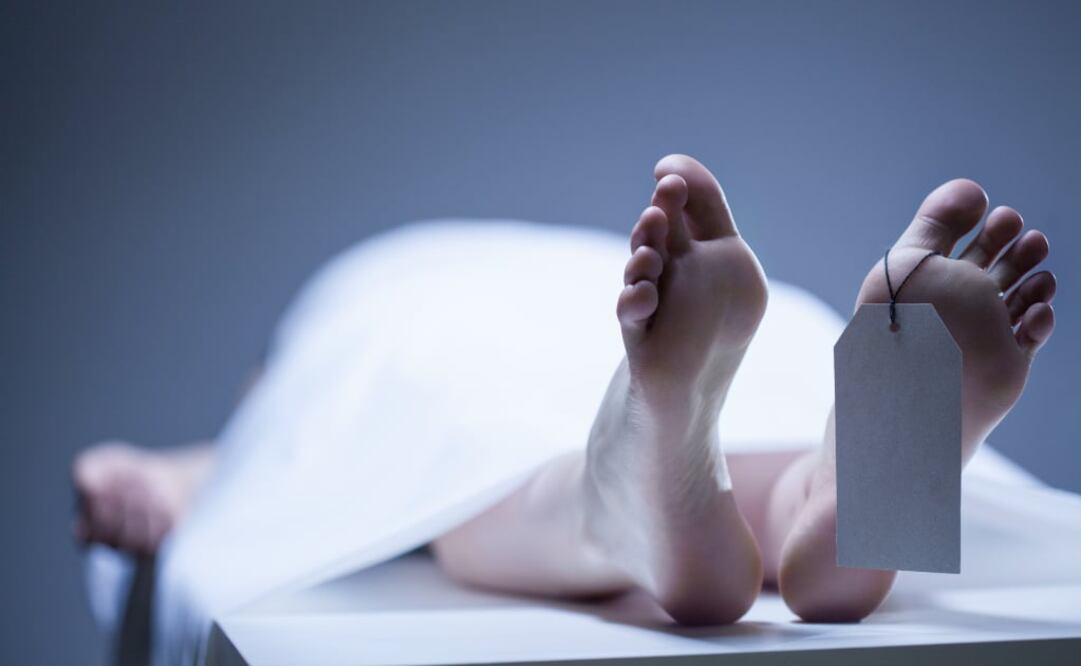 La IATA tiene un protocolo recomendado para saber cómo reaccionar si una persona muere durante un vuelo. (Foto: iStock)