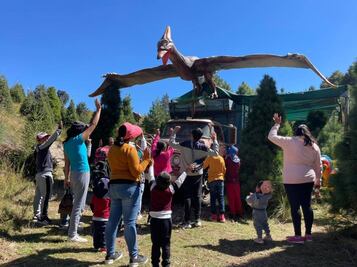 Lánzate a Dino Park Pino Pachón y elige tu árbol de Navidad