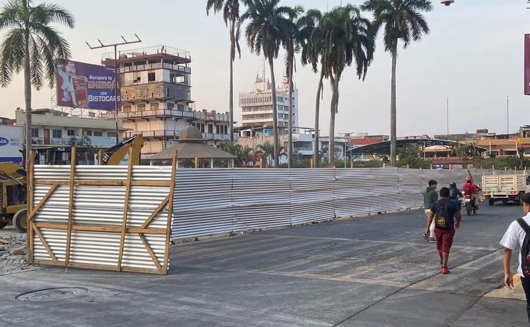 Fueron talados 14 laureles de la India y un centenar de palmeras, grandes, chicas y medianas, de edades que van más allá de los 50 años. Foto: Especial