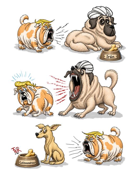 Dolores perros