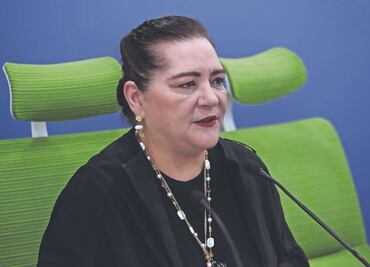 INE debe ser ajeno a los vaivenes políticos ante reforma: Taddei