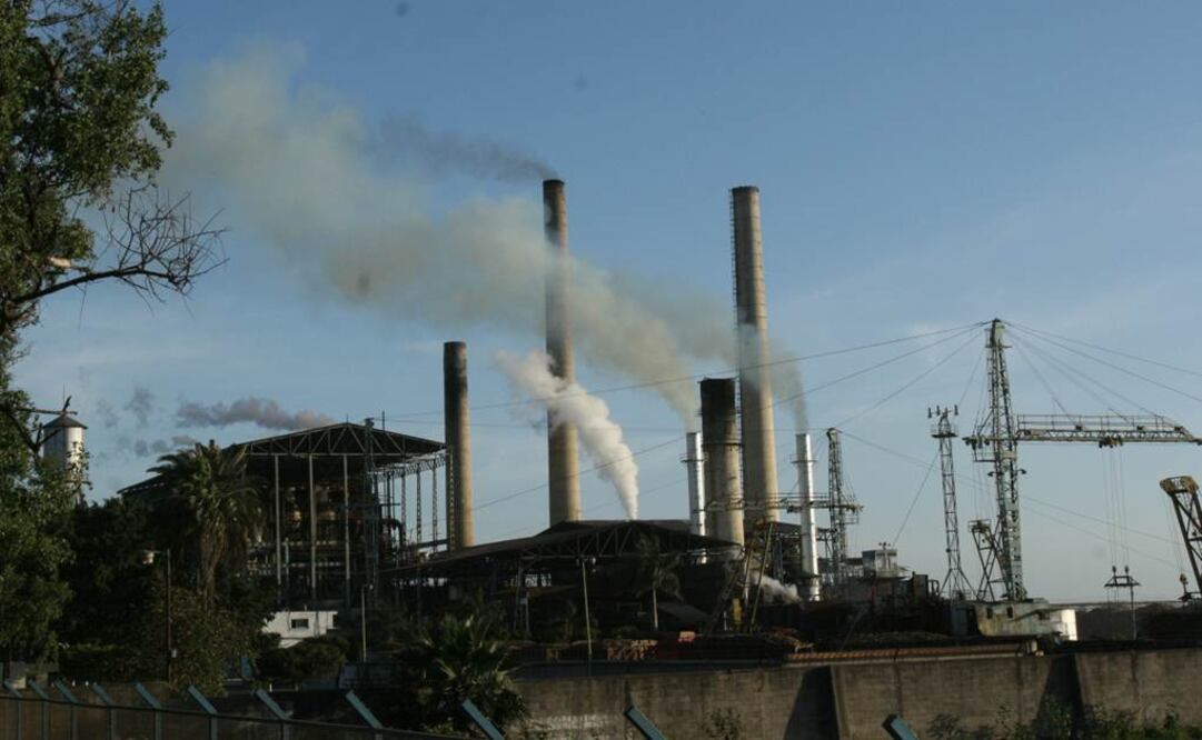 Entre los participantes están Zucarmex, Florida Crystals, Grupo Azucarero Mexicano (GAM), Grupo Piasa, la guatemalteca Pantaléon, entre otras Foto: Archivo/EL UNIVERSAL