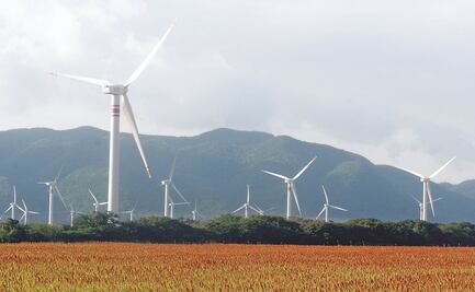 Secretaría de Economía dice que impulsará energías limpias y autoabasto entre Pymes