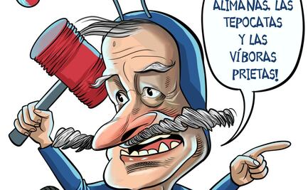 El chapulín azulado