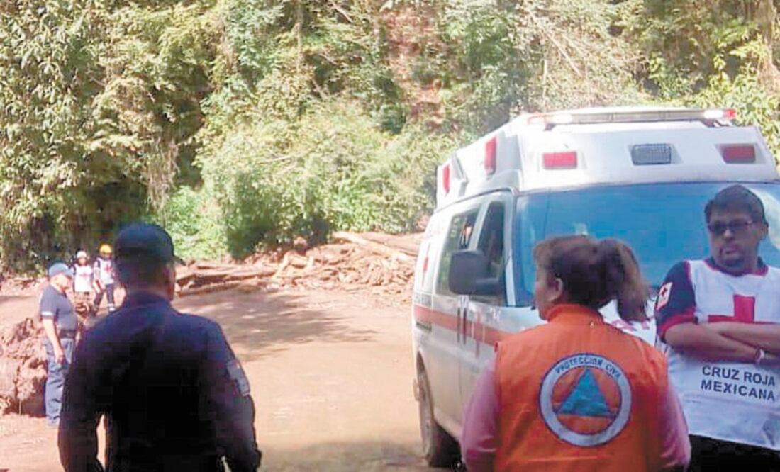 Árboles, tierra y troncos arrastró la corriente de agua la tarde del lunes, lo cual fue causado por la deforestación inmoderada en Ocuilan. XIMÉNA GARCÍA. EL UNIVERSAL