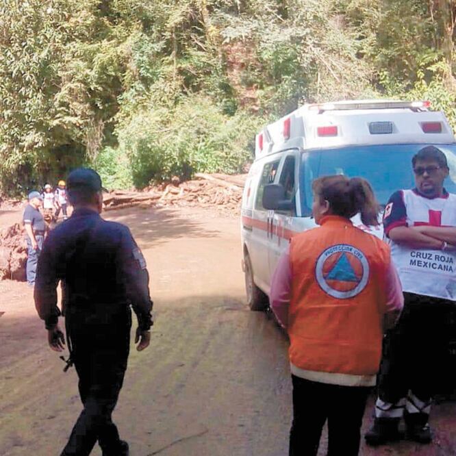 Árboles, tierra y troncos arrastró la corriente de agua la tarde del lunes, lo cual fue causado por la deforestación inmoderada en Ocuilan. XIMÉNA GARCÍA. EL UNIVERSAL