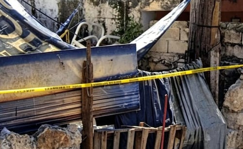 Justice demanded for dogs poisoned in Mérida