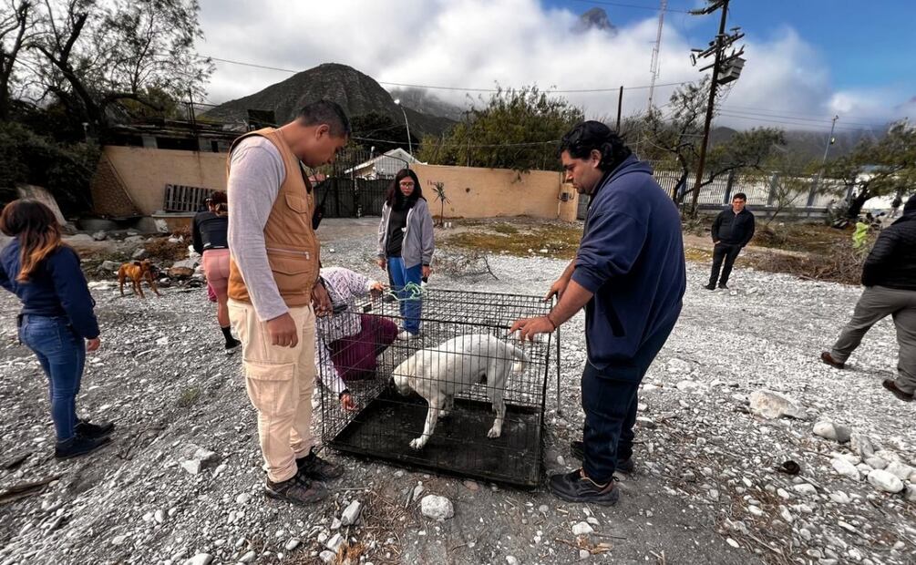 Los recorridos se realizarán en el interior del parque ecológico La Huasteca. Foto: Especial