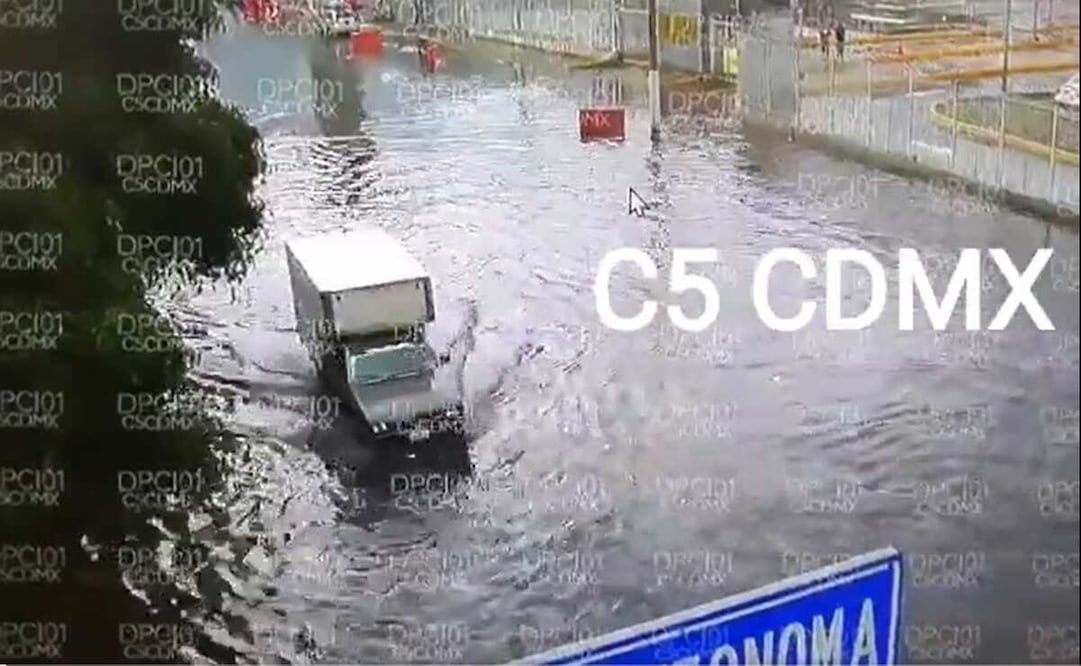 Clima CDMX: Intensa lluvia deja encharcamientos y caídas de árboles en alcaldías. Foto: captura de video 