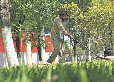 Sader otorga contrato por 4 mdp para jardinería