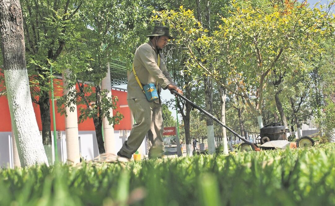 El contrato incluye servicios de poda de césped, de setos, arbustos, macizos, árboles y otros, limpieza y riego de áreas verdes, entre otros. Foto: Archivo/EL UNIVERSAL.