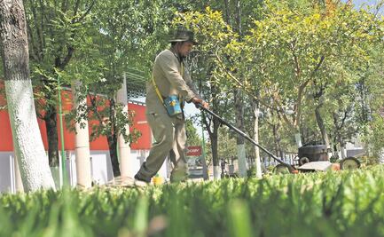 Sader otorga contrato por 4 mdp para jardinería