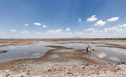 Prevén menos inundación en el Lago de Texcoco