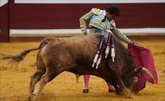 Joselito triunfa en Huesca y Leo Valadez en San Sebastián