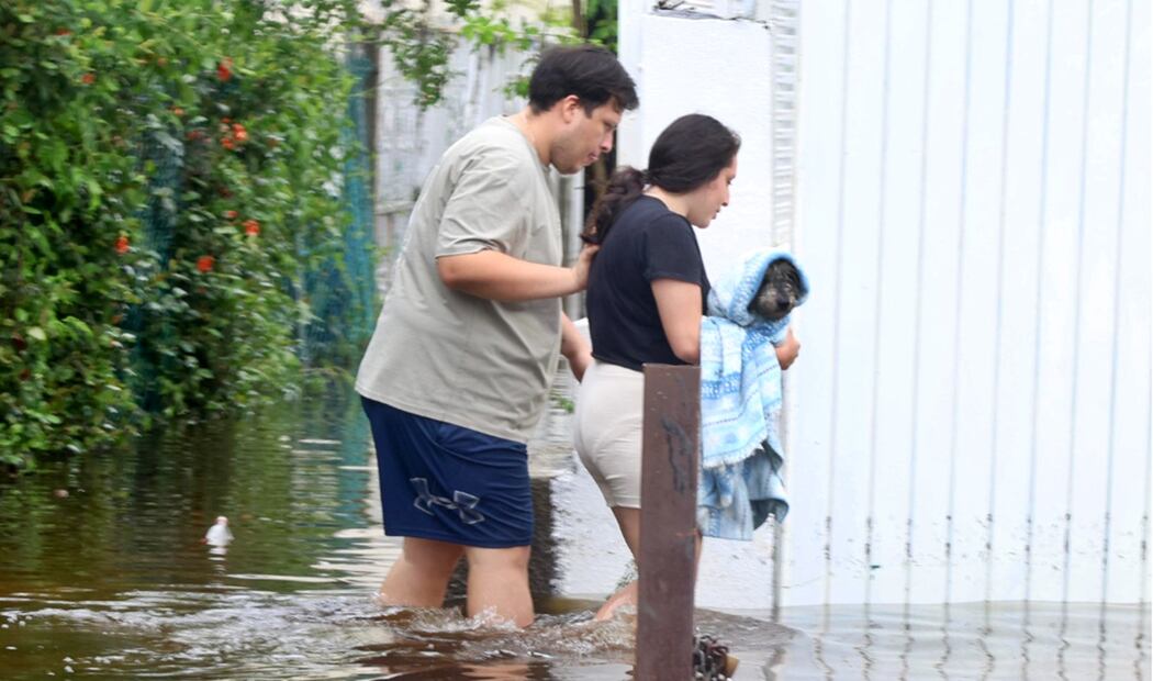 Ante ello, grupos de vecinos se han organizado para dar de comer y rescatar a los animales que quedaron en el abandono por el paso del ciclón tropical. Foto: Valente Rosas/EL UNIVERSAL