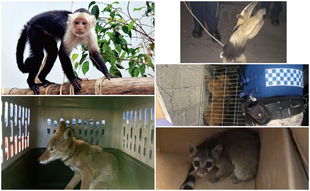 Fotografía: Especial