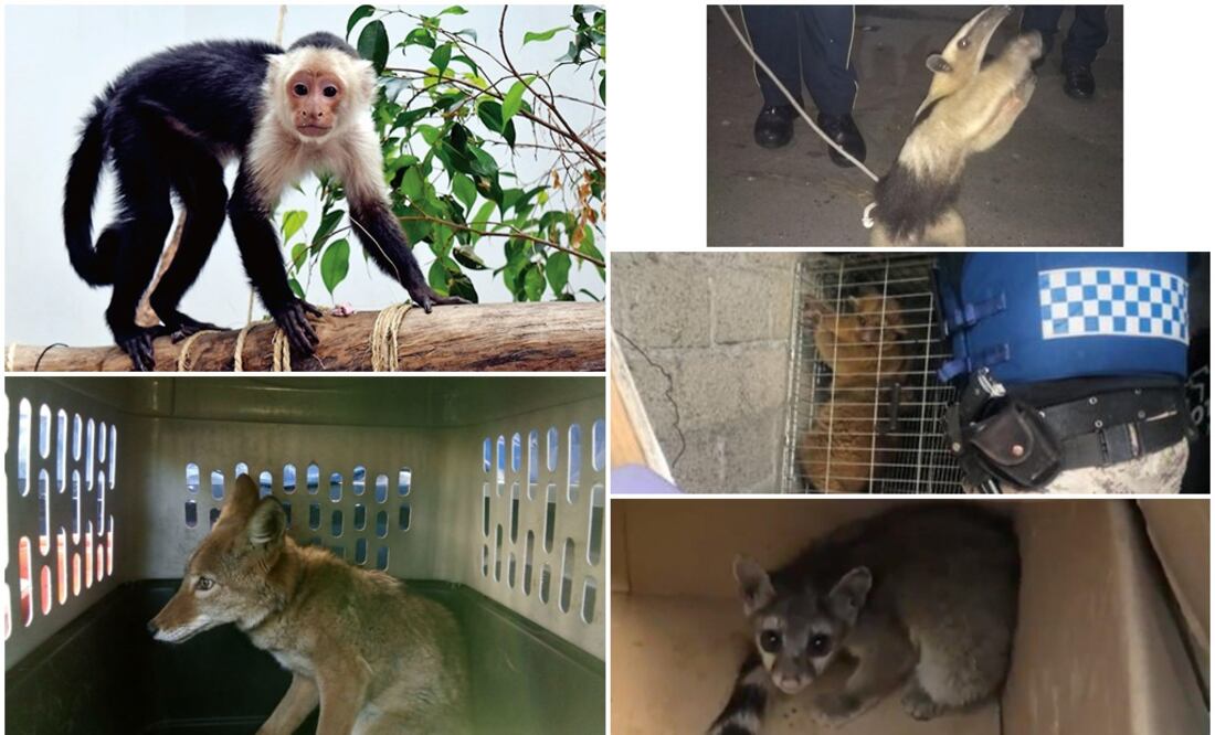 Fotografía: Especial