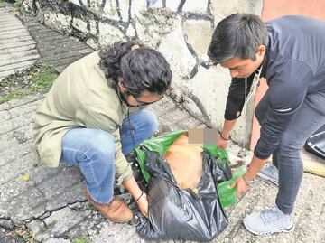 Sepultan nueva Ley de Bienestar Animal para la CDMX