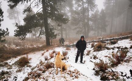 Cae primera nevada en Galeana, Nuevo León