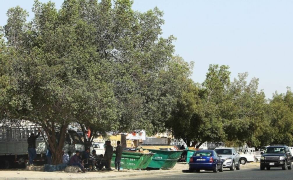 Kuwait registra temperatura de 52 grados centígrados