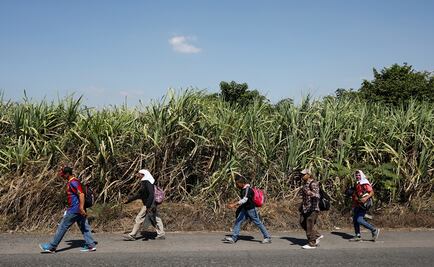 Intervenciones militares de Estados Unidos y “libre comercio” detrás de la migración en el Triángulo Norte