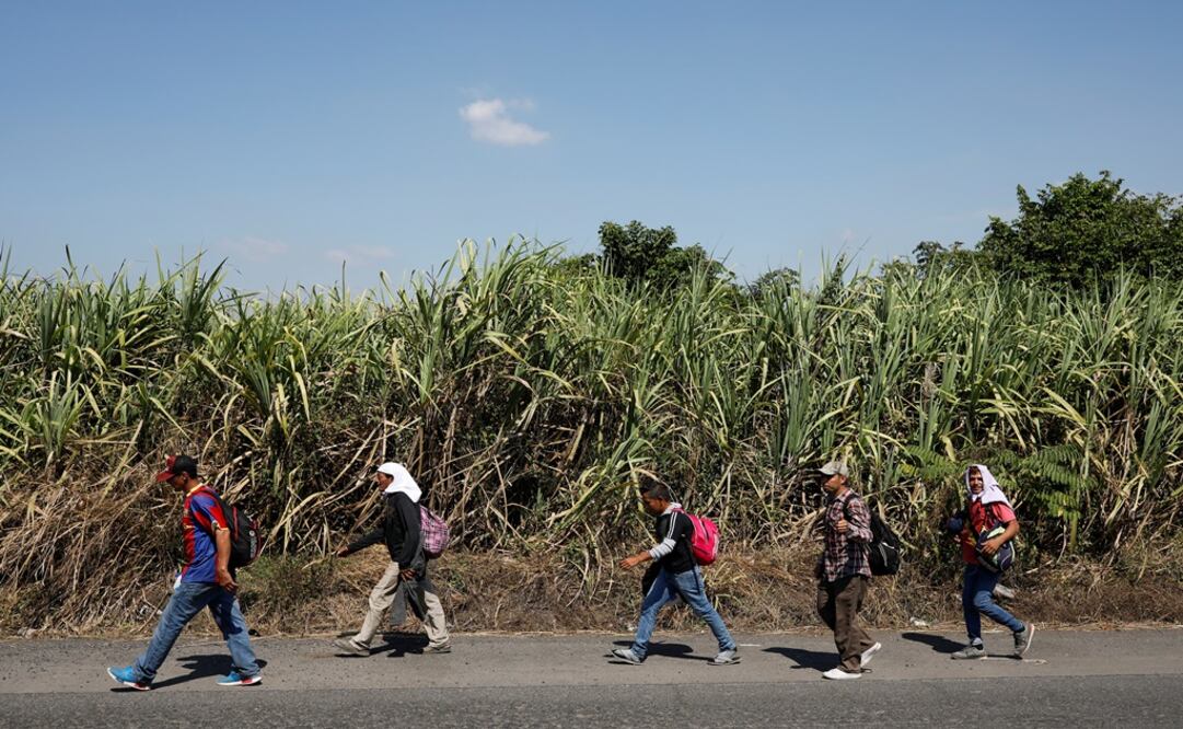 Migrantes de Honduras, parte de una nueva caravana de Centroamérica que intenta llegar a Estados Unidos, caminan por una carretera mientras continúan su viaje hacia la frontera con México - Foto: Luis Echeverría / REUTERS