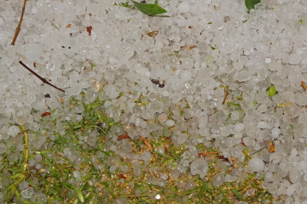 Foto: archivo/ EL UNIVERSAL