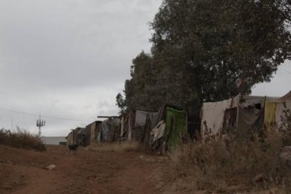 Sobreviven a las heladas con lonas y cartones en Zacatecas