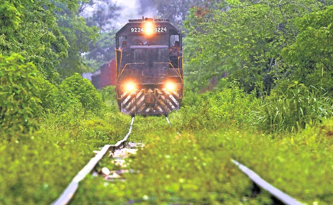 Foto: Archivo/EL UNIVERSAL