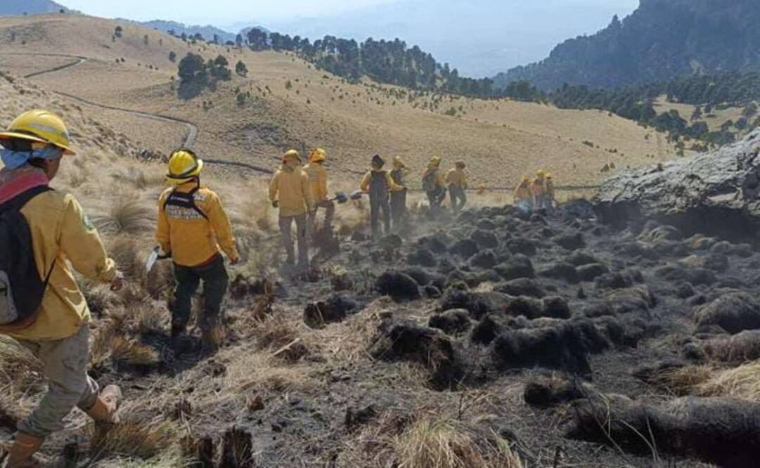 Las brigadas de los tres niveles de gobierno, así como integrantes de la sociedad civil, participan en el combate al incendio forestal en el Parque Nacional Izta-Popo. Foto: Especiales