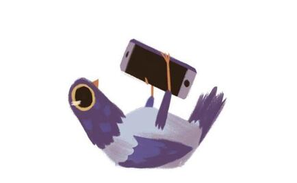 "Trash Doves" y por qué las palomas invaden Facebook