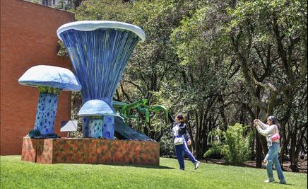 FOTOS: Así son los hongos monumentales que brotan en Chapultepec como parte del festival Spora
